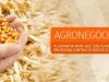 Seguro Agronegócios Grãos é na Villarim Seguros!  - Ligue agora! (11) 91291 5070 Whats