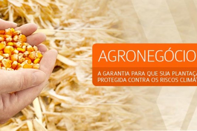 Seguro Agronegócios Grãos é na Villarim Seguros!  - Ligue agora! (11) 91291 5070 Whats