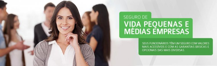 Seguro de Vida Pequenas e Médias Empresas é na Villarim Seguros! (11) 9.1291.5070 (WhatsApp)